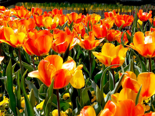 429500 (a): :1920x1440